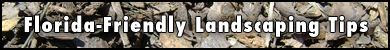 Florida Friendly Landscaping Tips