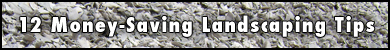 12 Money Saving Landscaping Tips